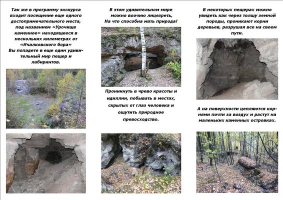 Ичалковский бор нижегородской области карта